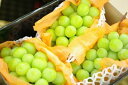シャインマスカット葡萄取寄販売 種なし皮ごと食べられるぶどうを通販で。3房 約1650g
