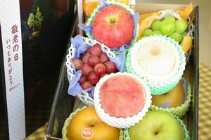 https://thumbnail.image.rakuten.co.jp/@0_mall/hamanaka/cabinet/00597427/img69462746.jpg?_ex=500x500