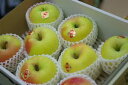 ぐんま名月りんご通信販売 お歳暮林檎に。隠れた銘品種りんごを販売取寄。中箱 約7玉〜約9玉 群馬・長
