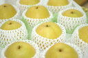 王秋梨(おうしゅうなし)通販 鳥取の初冬に味わえる糖度約12...