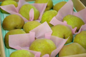 ラフランス取寄販売 山形県西洋梨お歳暮ラ・フランスを通販で。約5kg 大玉 3L〜4L 約14玉〜約16玉 ランキングお取り寄せ