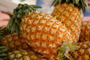 沖縄スナックパイン通販 ボゴール種国産パイナップルを販売取寄。3本 沖縄県産...:hamanaka:10001375