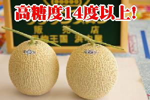 ڥ饦 11kŲ 2륯饦14ٰʾ塪ȴ