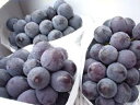 たねなし巨峰ぶどう♪約2kg 約3房~約5房【山梨・長野・その他の産地】