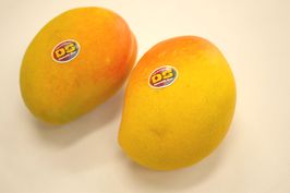 ޥ󥴡4̡5Ȥäȡäȡڥȥꥢ ̾ԡޥ󥴡