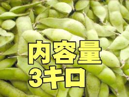 だだちゃ豆　　5キロ入り