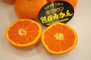 ڲť饦¢ ðߤ5kg²λۡ13١