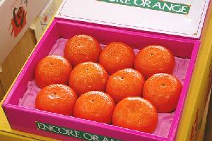 󥳡륪󥸡10̡16̡ʬû