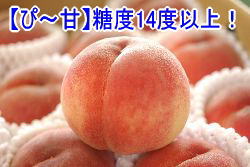 伝統産地”加納岩の桃♪” 約7玉〜約11玉糖度14度以上！等級【ぴ〜甘】中箱☆第35回日本農業賞優秀賞受賞☆