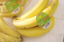 バナナ♪小宮さん厳選・こだわりバナナ 16パック【フィリピン産】