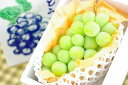 お歳暮シャインマスカットぶどう通販 12月の冬ギフトに貯蔵国産葡萄販売。長野・他産地 1房 約500g