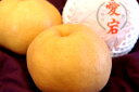 愛宕梨 あたご梨通信販売 お歳暮に大きい和梨を販売。約4玉〜...