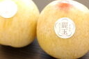麗玉れいぎょく 長野県 すもも李 糖度18度 品種シナノパール 1玉200g以上 3玉入
