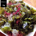 熊本県 天草産 天然海藻サラダ 乾燥 15g【メー