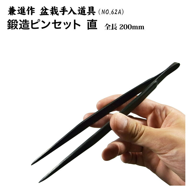 【兼進作】鍛造ピンセット　直　全長200mm　（NO.62A）【盆栽/盆栽道具/お手入れ/…...:hamonoichiba:10002876