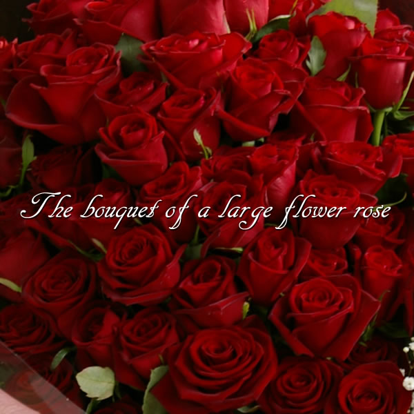 ■本数と色が選べる■バラの花束♪　大輪特選品種【画像配信】