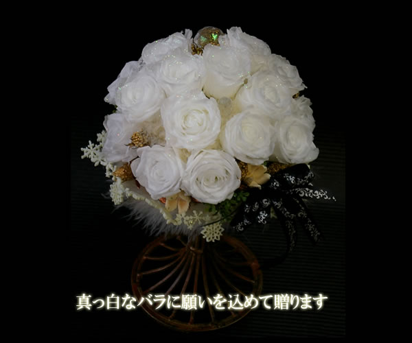 ̵ץꥶ֥ɥեpure whiteΥХ˥󥸡̤£ʪˤɤ