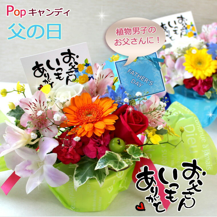 送料無料（一部地域を除く）【生花】花　Popキャンディ（プチメッセージ付き）【 送料無料 】 誕生日 プレゼント 女性 ギフト 送料無料　花 フラワーアレンジメント 母の日 プレゼント カーネーション