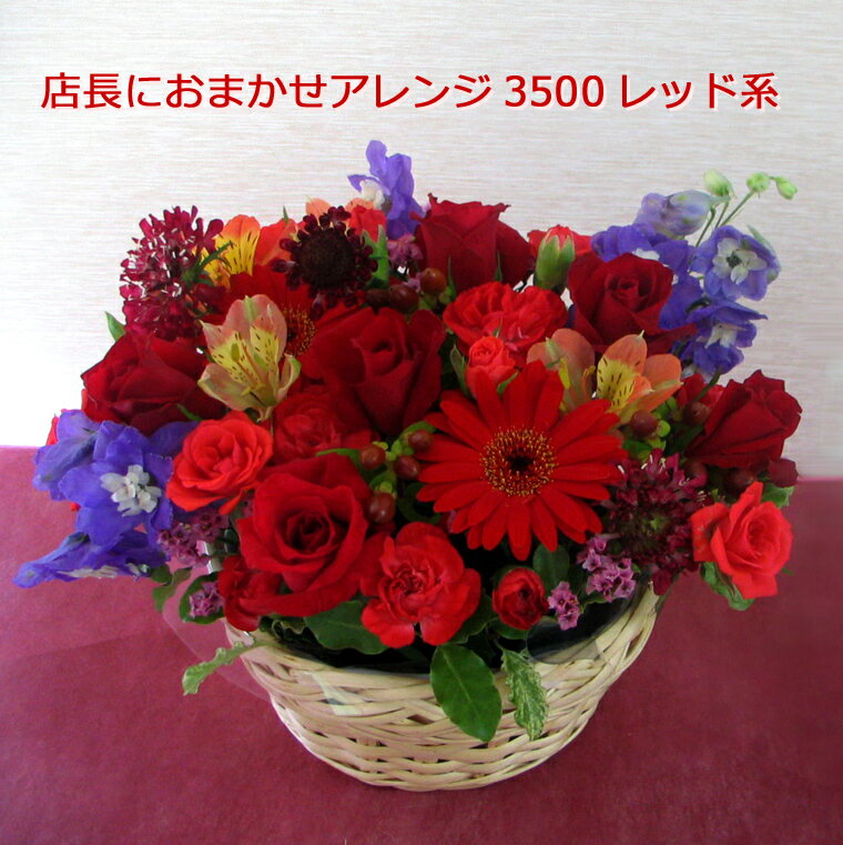 【生花】店長におまかせアレンジ3500（レッド系）【即日発送OK・送料無料】お誕生日/お祝い/記念日/お悔やみ/お供え