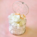 ホワイトプリンセス 花 画像