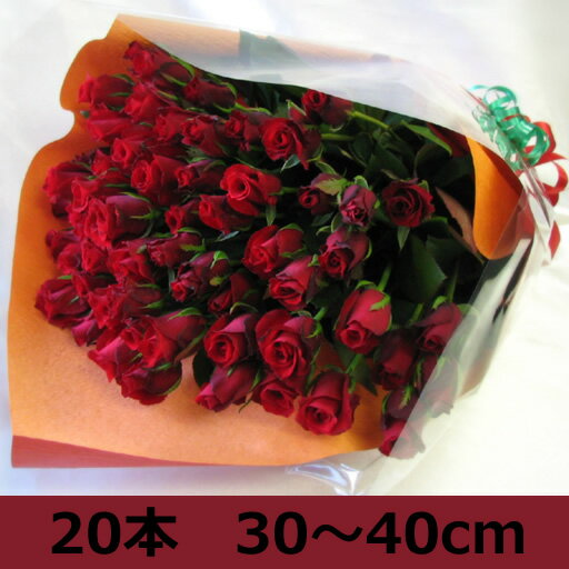̵2030cm40cmӥ̵ۡ20ܤΥХβ«Mľ䵭ǰΤˤ