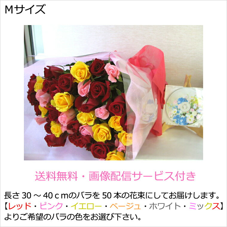 MTCY50{30cm?40cmI摜T[rXMTCYyzy50{̃ỏԑzaLÔj