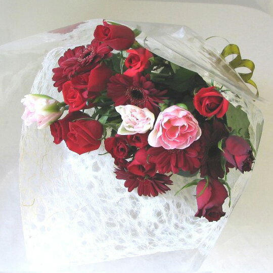 ʲӥդ£ä֤ǧǤư¿¨ȯOK̵ۡŹĹˤޤ«5000ʥåɷϡˡڤб_ۡڤб_ÿۡۡڤб_Φۡڤб_쳤ۡڤб_ᵦۡڤб_ۡڤб_͹