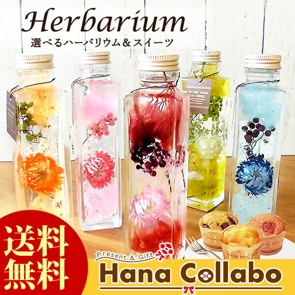 ハーバリウム 【 herbarium 】結婚祝い 花とスイーツ プレゼント プリザーブドフラワー 洋菓子セット 雑貨 誕生日プレゼント 記念日 お祝い お菓子 ハロウィン 飾り カボチャ 室内に♪ 送料無料 あす楽15時 即日発送