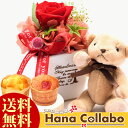 誕生日プレゼント 母への贈り物 女性 女友達 送料無料 花 ...
