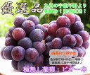 種無し葡萄【ピオーネ】産直！【送料無料】※8月16日より順次発送生産者より即日発送で新鮮＆高品質♪送料無料！8月20日より日時指定可！