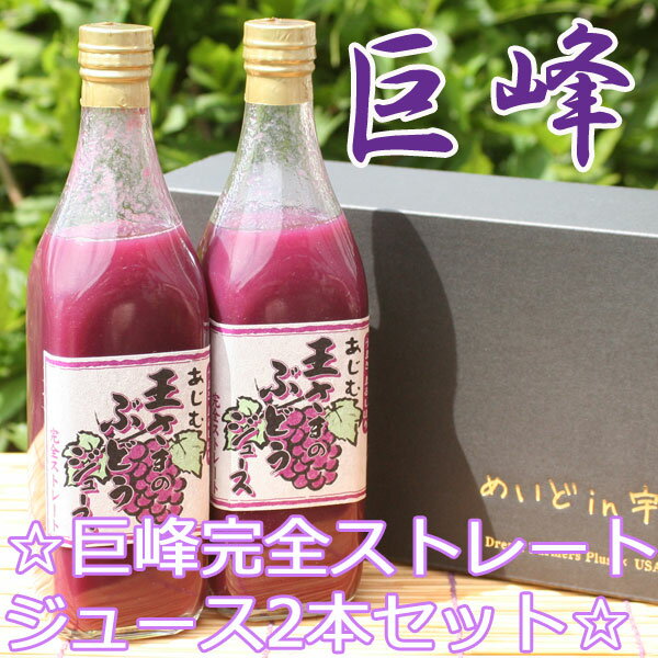 【巨峰ストレートジュース2本セット】葡萄園より直送！【化粧箱入り】【送料無料】九州一のぶどう産地安心院より有機質肥料のみ使用のこだわりブドウ100％！☆敬老の日・ギフト・誕生日の贈物等に☆