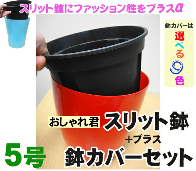 スリット鉢【鉢カバーセット】おしゃれ君スリット 鉢 5号【資材】スリット 鉢 ロング