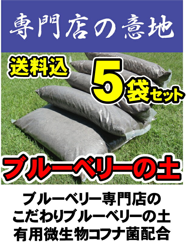 【送料無料】【お買い得！5袋セット販売】 ブルーベリー 専門店の ブルーベリーの土 （肥料入り） （70L） 【資材】 ブルーベリー 土 用土 培養土 blueberry