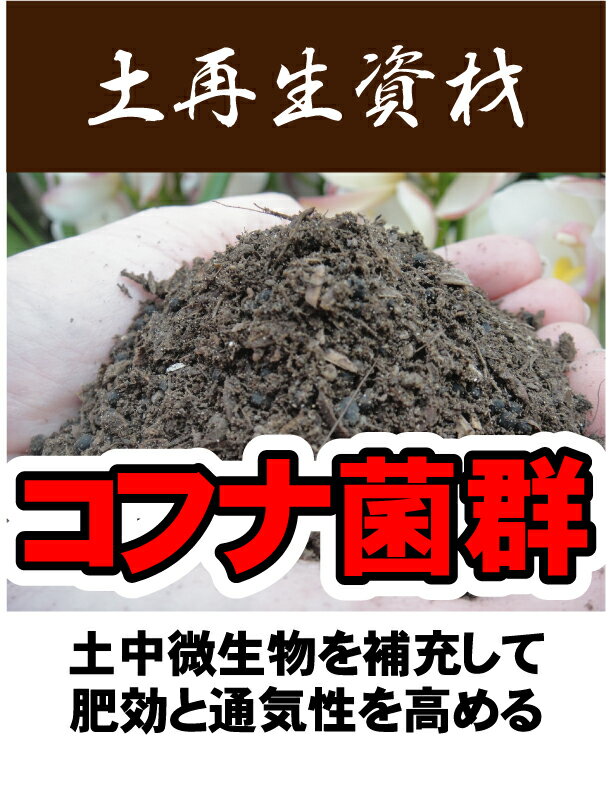 コフナ菌堆肥『蘇れ培養土！』2回戦も元気ハツラツ【資材】【愛知県産】土中微生物を補充して肥効と通気性を高める