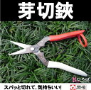 芽切り鋏(はさみ)岡恒(オカツネ・おかつね・岡津) 【切り花向けハサミ】プロ御用達の道具!【資材】NO.304