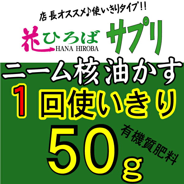 レモンもゆっくり育てていきましょう。オリバーさんのレモン部日記ご購読者様限定！花ひろばサプリ（ニーム核油かす50g）を1円でご提供(お一人様1点限り【メール便対応可能】オリバーさんのレモン栽培日記（2010年6月20日）