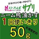 ことごとく観葉植物を枯らしてしまってますが、今回はとにかく枯らさない。まさやんさんのレモン部日記ご購読者様限定！花ひろばサプリ（ニーム核油かす50g）を1円でご提供(お一人様1点限り【メール便対応可能】