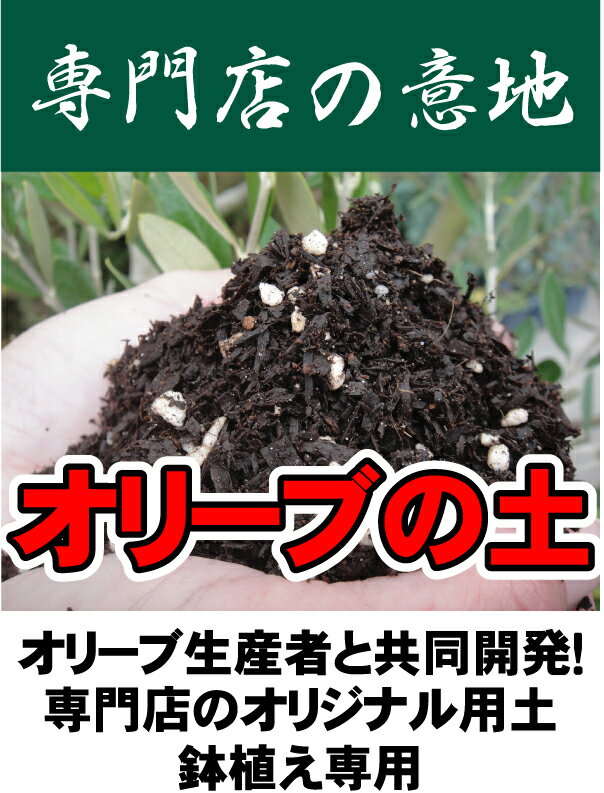 オリーブの土 （肥料入り） （14L） 【資材】 オリーブ専用 培養土●●