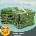 ■送料無料■ 芝生 鳥取県産 高麗芝 TM9 (ティーエムナ...