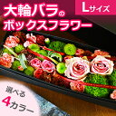 大輪バラのボックスアレンジ Lsize誕生日(還暦)ホワイトデー 結婚記念日 プレゼント フラワーアレンジメント 退職祝い(送別会)開店 薔薇(ばら) box 送料無料
