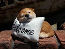 雑貨 ガーデニング ガーデン ドッグ アニマル【花遊び】『welcomeホワイトクッション♪