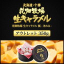 花畑牧場 生キャラメル 極 -きわみ- 350g アウトレット【送料込み】