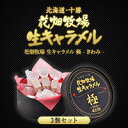 北海道 お土産 花畑牧場 生キャラメル 極 -きわ