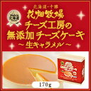 北海道 お土産 花畑牧場 チーズ工房の無添加チーズケーキ 〜生キャラメル〜 170g×3個セット