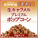 北海道 お土産 花畑牧場【訳あり】生キャラメルプレミアムポップコーン1kgセット