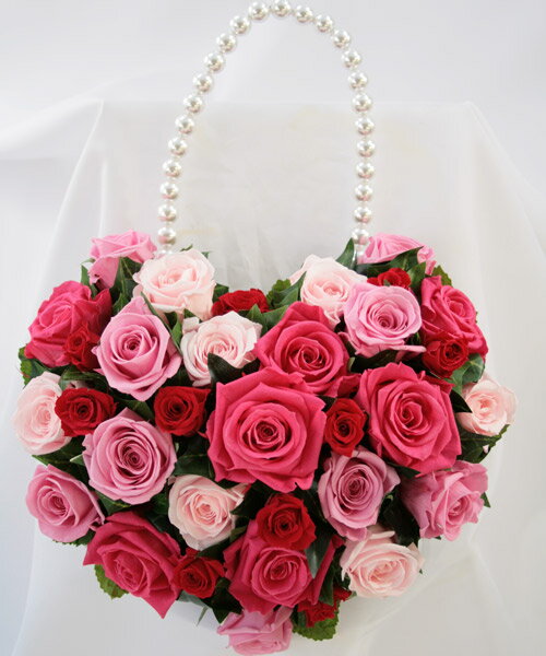 ưĤϤʤ֥ץꥶ֥ɥեΥ֥饤֡֡ȥ˥աڥץꥶ֥ɥե֡PR-166ϥɥХå ̵̵ۡۡ-0712ۡw0712̵ۡ-0726ۡw0726̵ۡ-0802