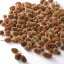 【ドライ】東北花材/カスリナパッド ナチュラル 約100g/66022【01】【取寄】《 ドライフラワー ドライ実物&フルーツ 木の実 》