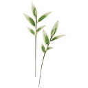 即日 【造花】東京堂/小 笹 10本/FA000431《 造花(アーティフィシャルフラワー) 造花枝物 竹 》
