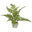 【人工観葉植物】YDM/シダーポット グリーン/GLA1365-GR【01】【取寄】《 造花(人工観葉植物) 人工観葉植物「さ行」 その他「さ行」人工観葉植物 》
