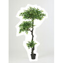 【直送】【人工観葉植物】アスカ/ファイカスツリー(ポット付) グリ-ン/A-50890-051A※返品・代引不可【01】《 造花(人工観葉植物) 人工観葉植物「は行」 ファイカス 》